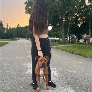 Meet your Posher, Hailey